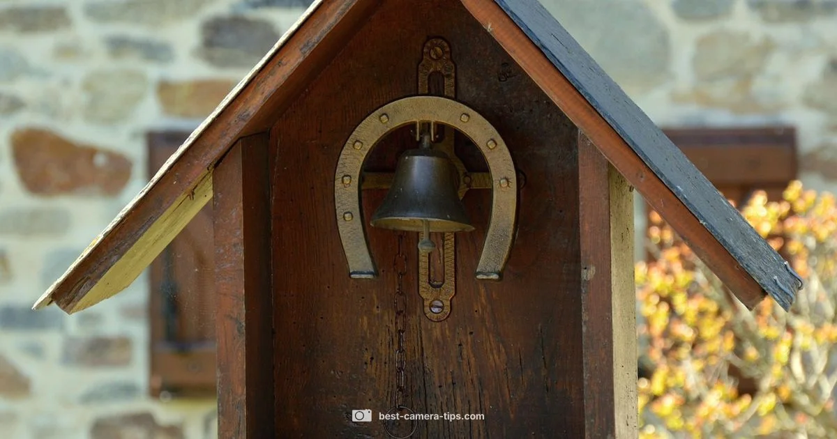 Ring Camera Pitfalls - Best Camera Tips