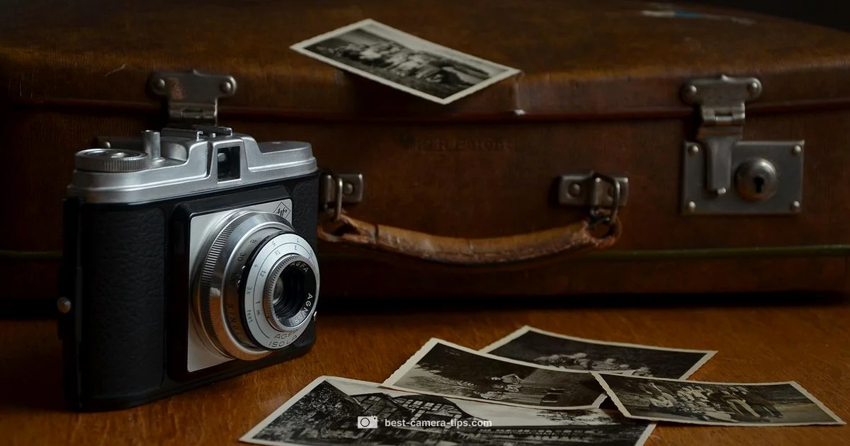 Disposable Camera Travel - Best Camera Tips