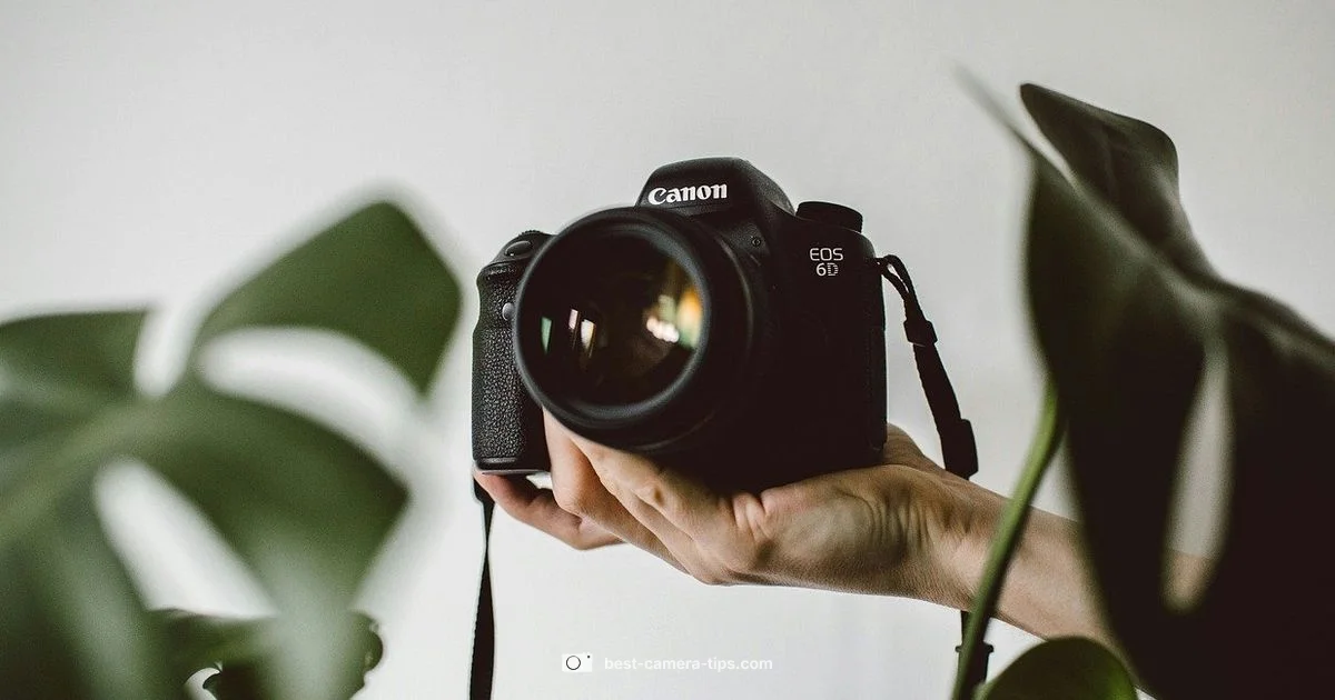 Best Camera Brands - Best Camera Tips