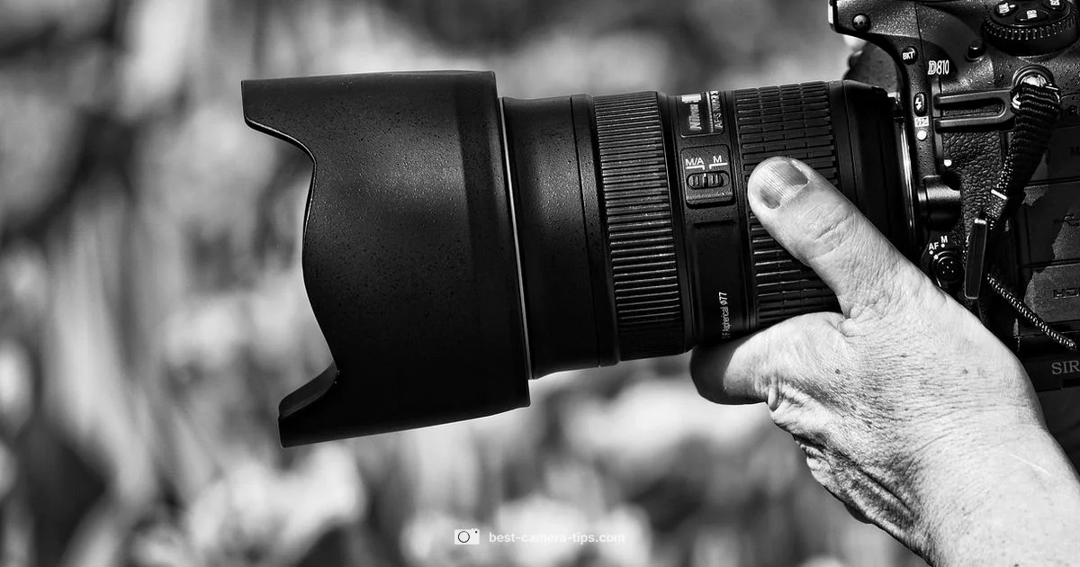 Beginner Camera Guide - Best Camera Tips
