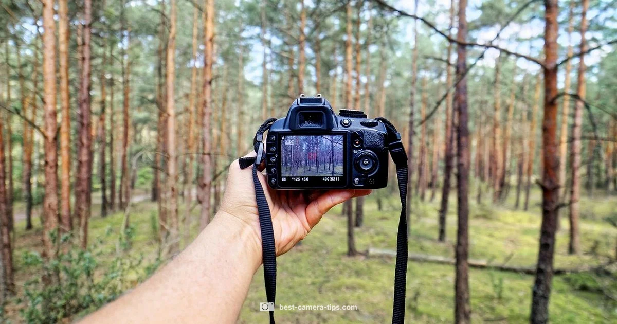 Starter DSLR Guide Starter DSLR Guide - Best Camera Tips