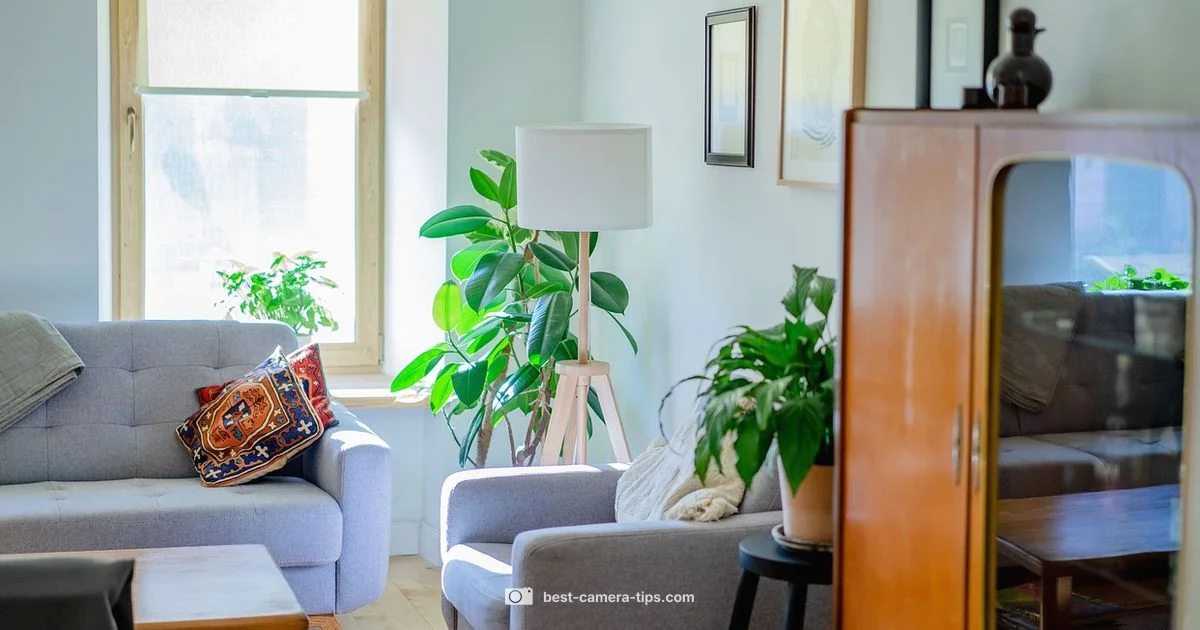 Visible Coverage - Best Camera Tips