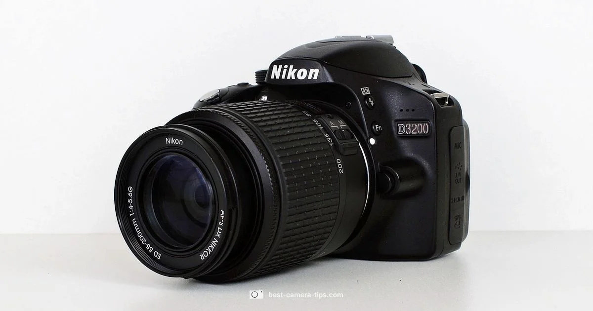 Blink Noise Guide - Best Camera Tips