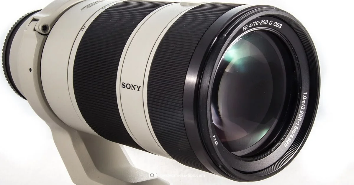 Sony a7 III Guide - Best Camera Tips