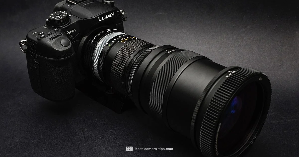 ISO in Action ISO in Action - Best Camera Tips