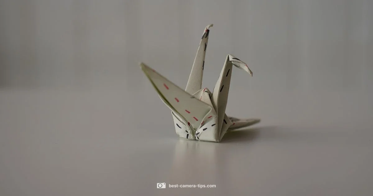 Paper Camera Build Paper Camera Build - Best Camera Tips