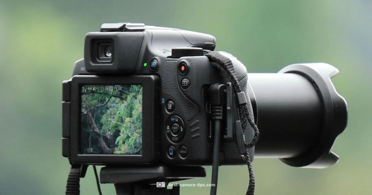 Digital Camera Guide - Best Camera Tips