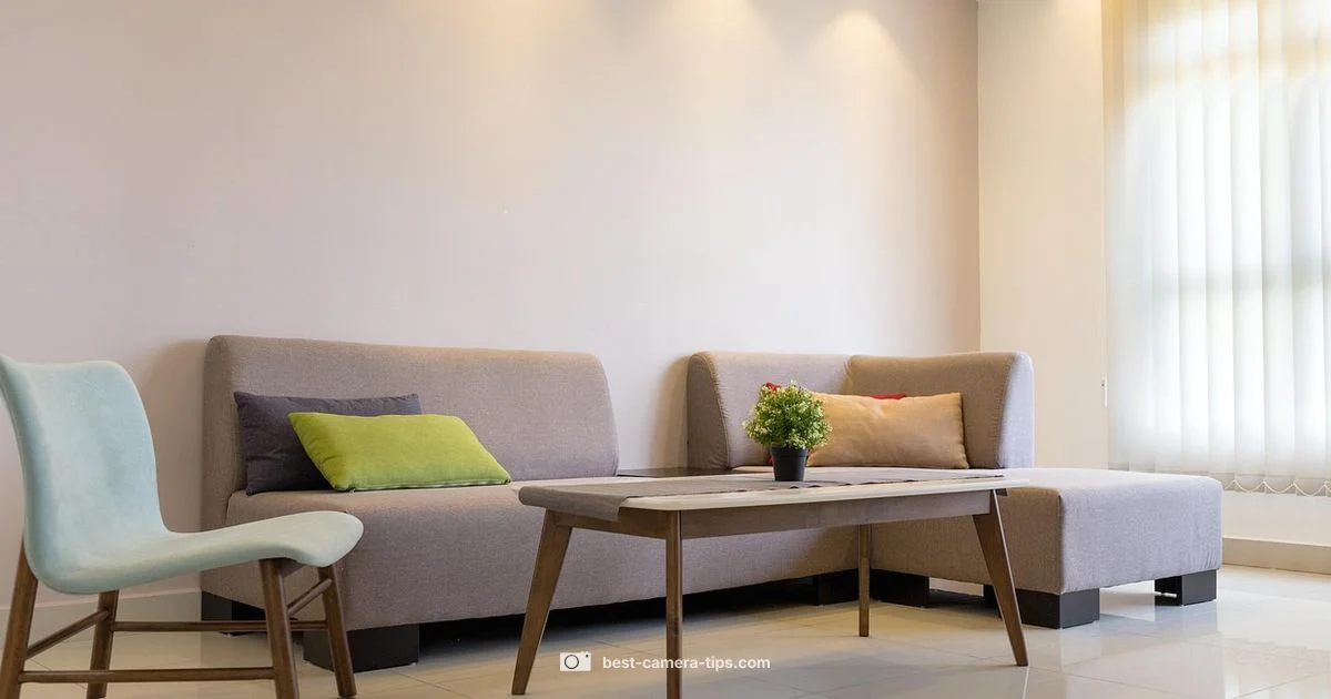 Budget Home Cameras - Best Camera Tips