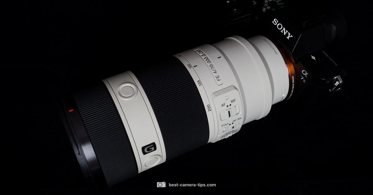 DSC W830 Overview - Best Camera Tips