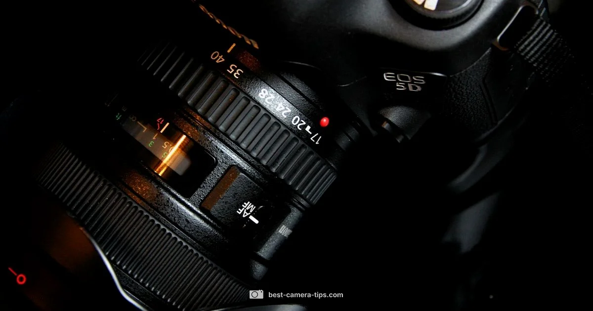 Lens Lifespan Guide - Best Camera Tips