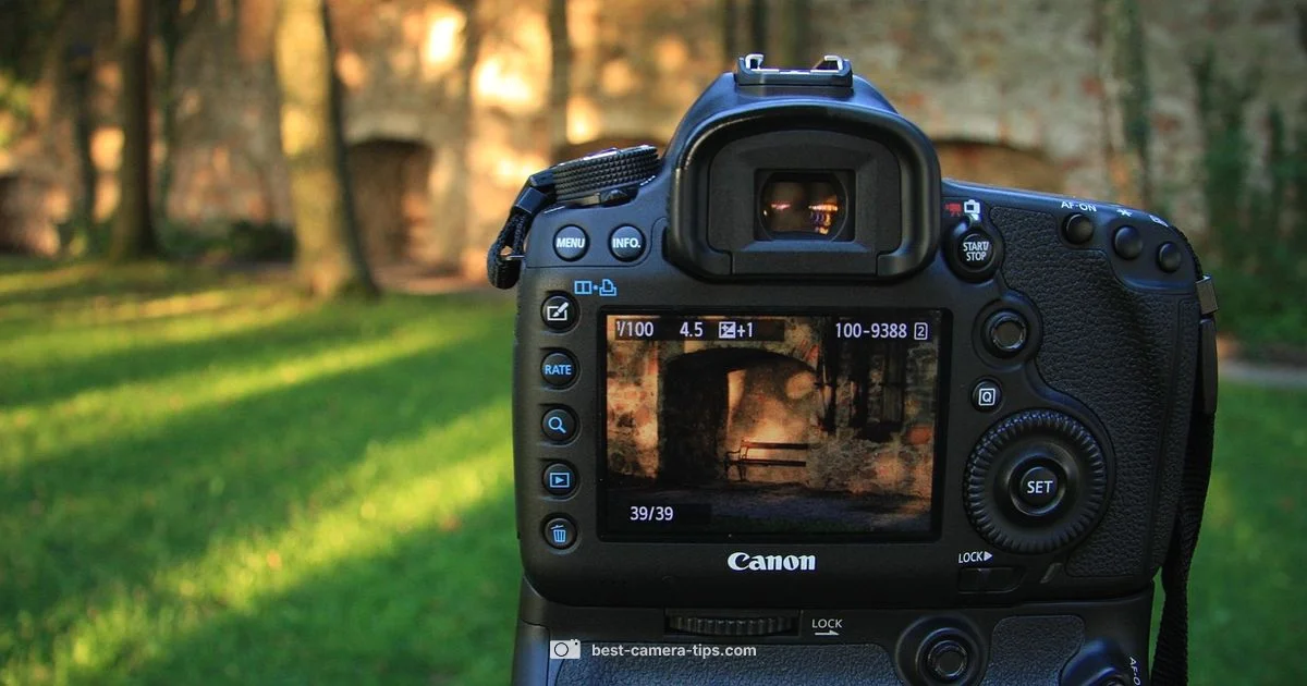 Disposable Camera Costs - Best Camera Tips