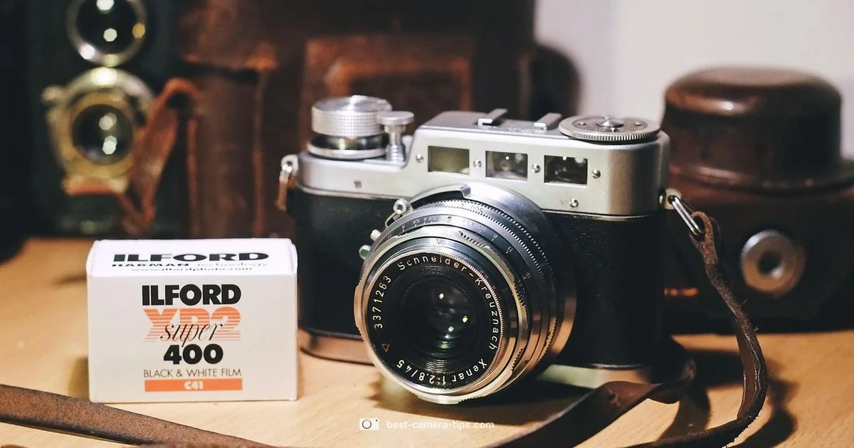 Film Cameras Today Film Cameras Today - Best Camera Tips