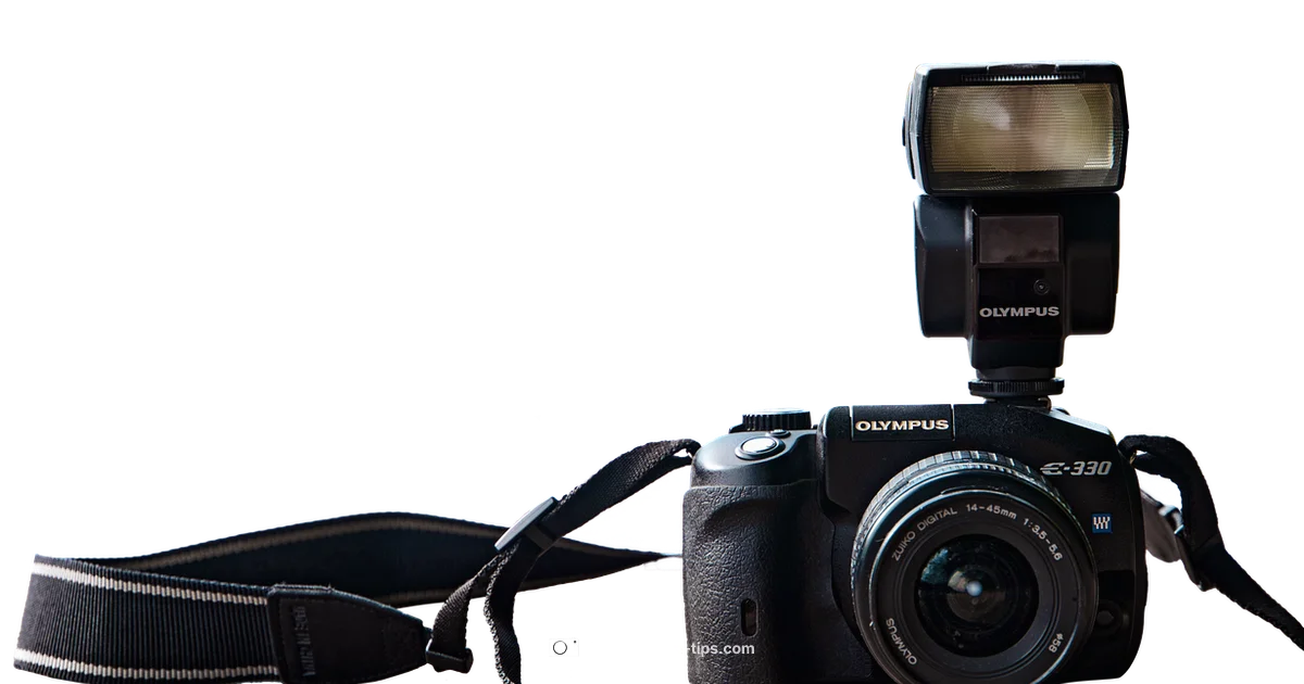 Ring Camera Guide - Best Camera Tips