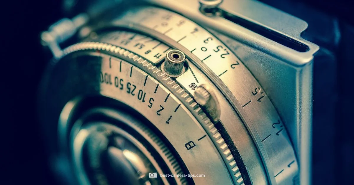 Nearby Disposable Camera Nearby Disposable Camera - Best Camera Tips