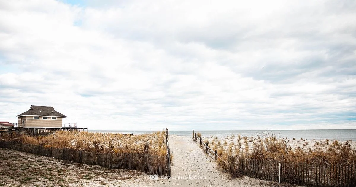 Live Beach Feeds - Best Camera Tips