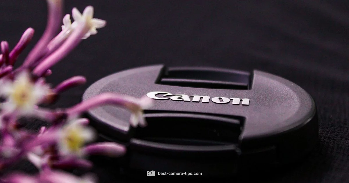 Top Camera Brands 2026 - Best Camera Tips