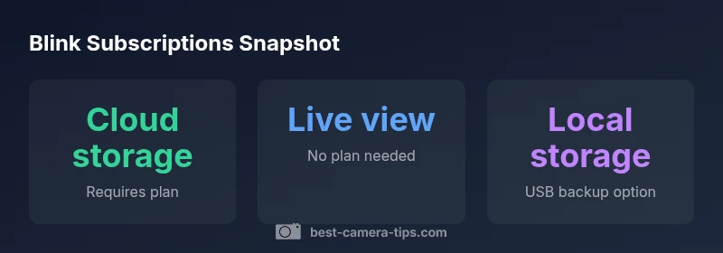 Blink subscription statistics infographic