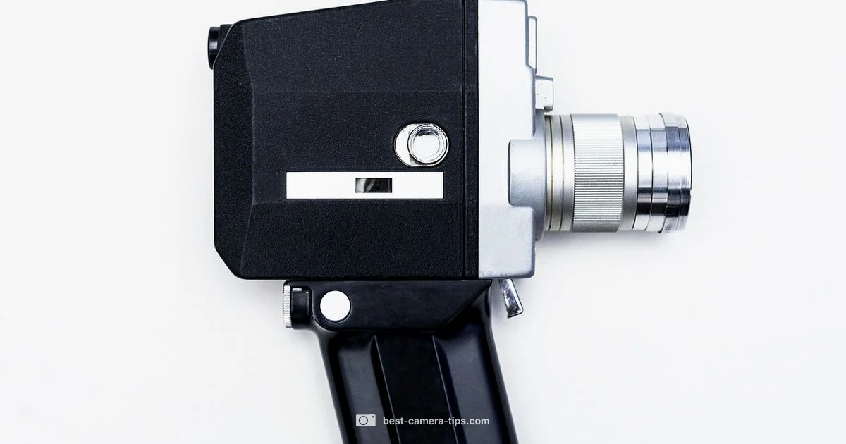 Camera Nest Setup - Best Camera Tips