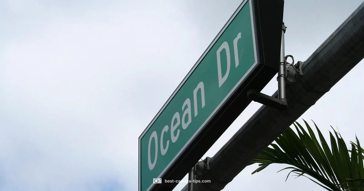 Live Camera Miami Beach Live Camera Miami Beach - Best Camera Tips