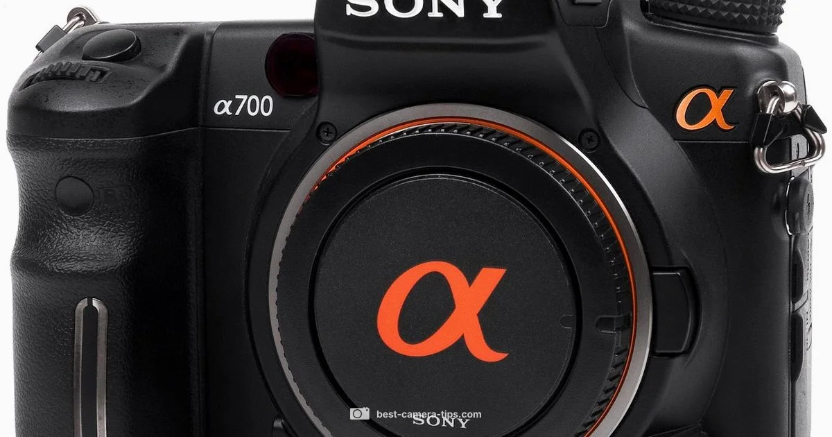 Sony Camera Guide - Best Camera Tips
