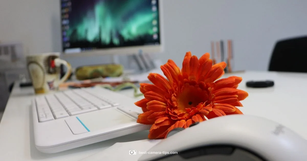 Vlogging Camera Guide - Best Camera Tips