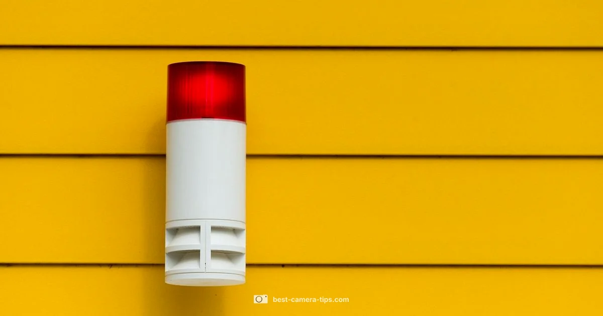 Ring Security Guide - Best Camera Tips