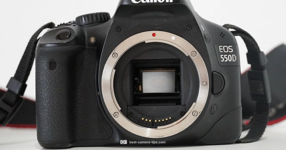 Canon Rebel T7 Guide Canon Rebel T7 Guide - Best Camera Tips
