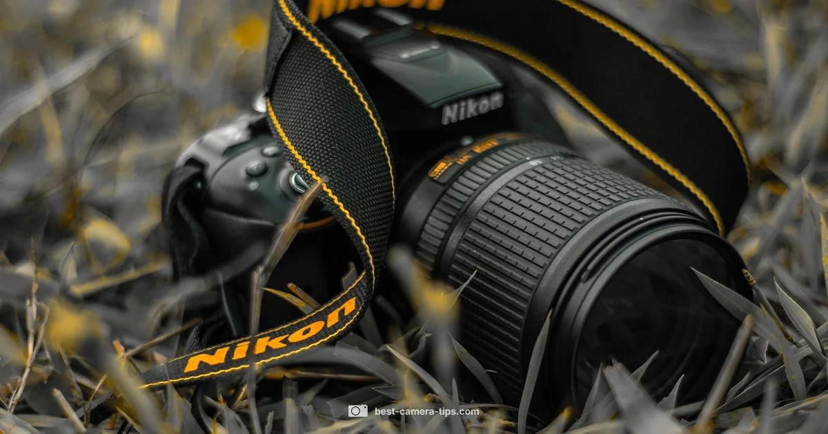 Camera Quality Guide - Best Camera Tips