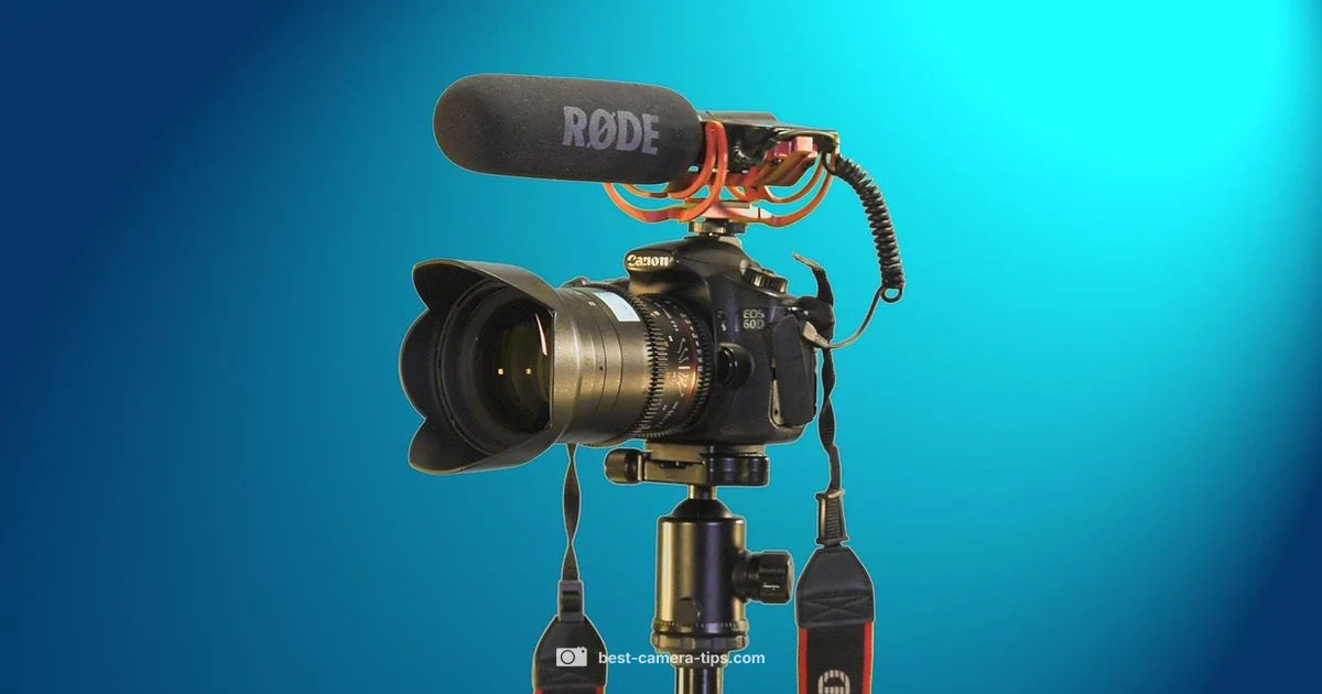 Best Canon Pick Best Canon Pick - Best Camera Tips