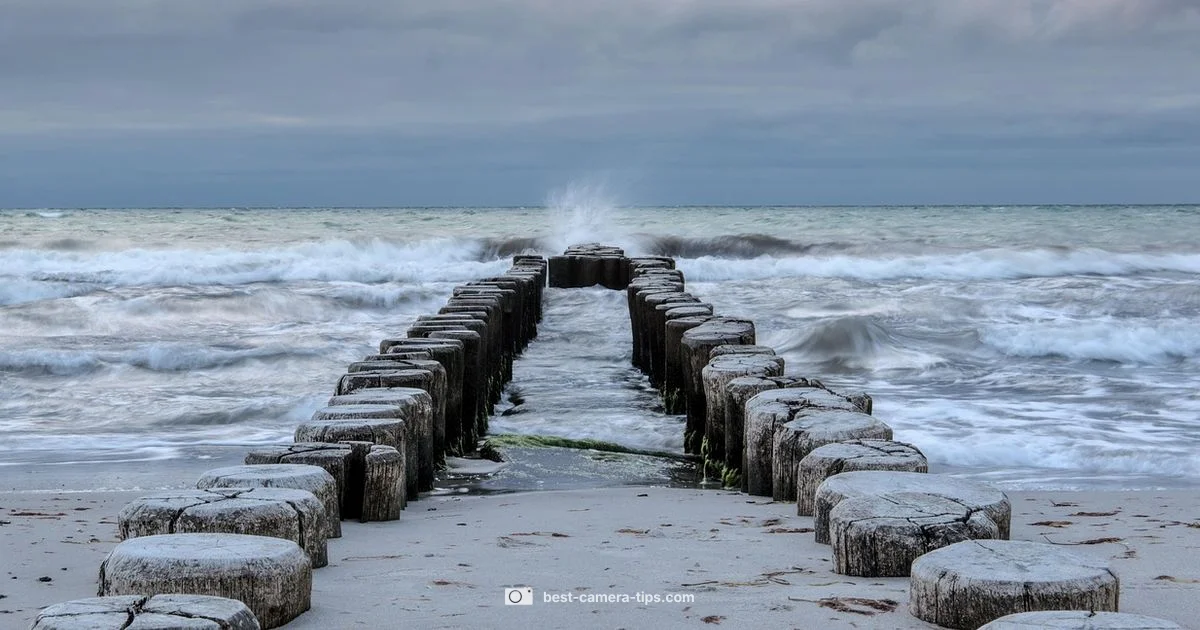 Coastal Live Feed Coastal Live Feed - Best Camera Tips