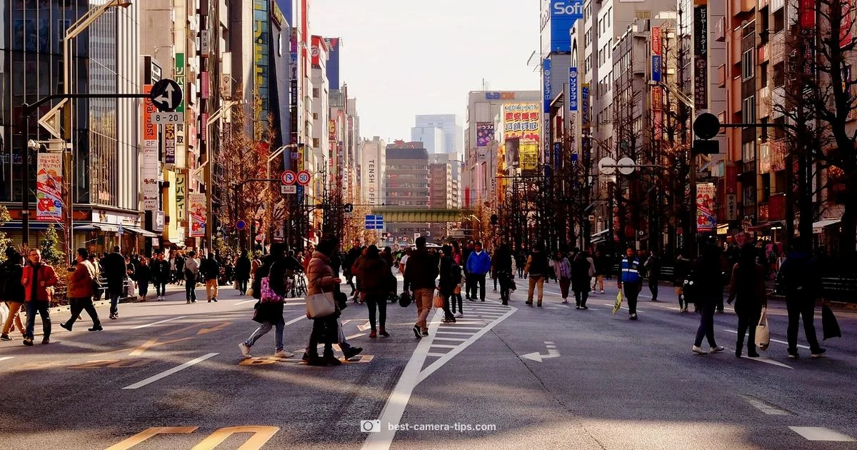 Budget Photo Gear - Best Camera Tips