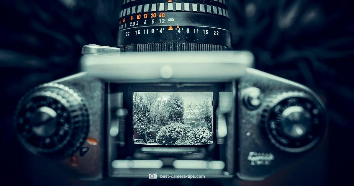 Camera History - Best Camera Tips