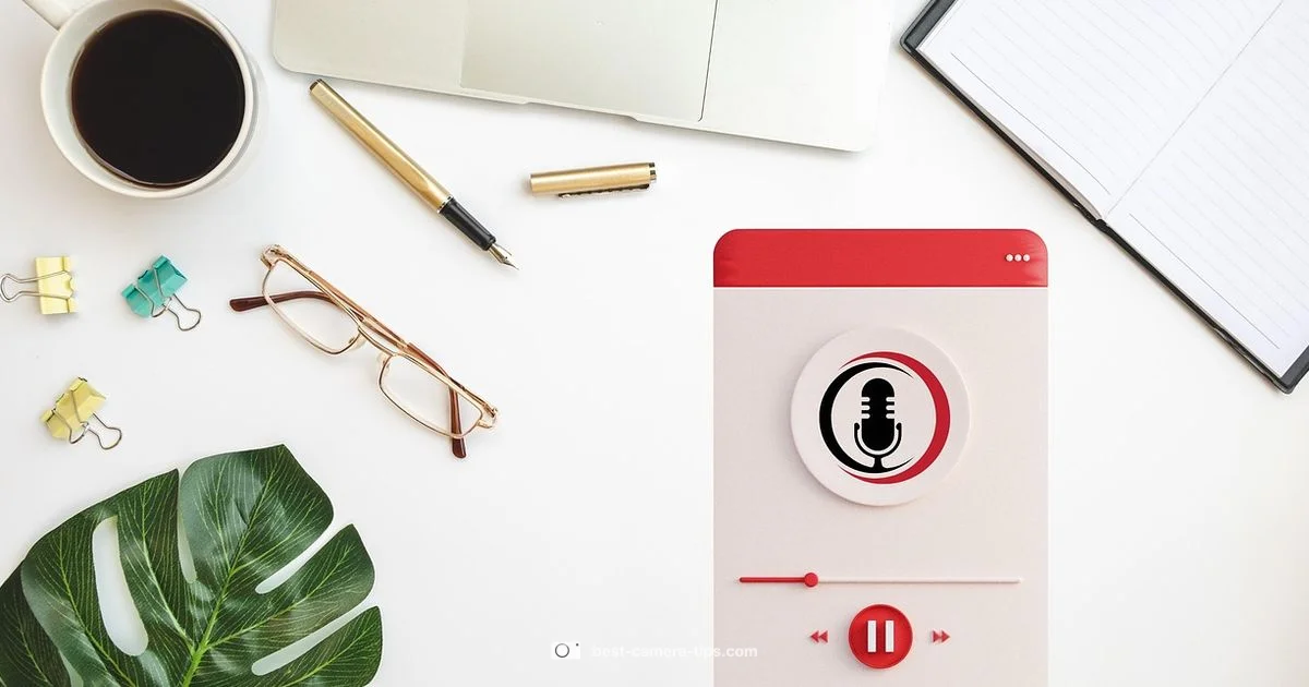 Vlogging Essentials Vlogging Essentials - Best Camera Tips