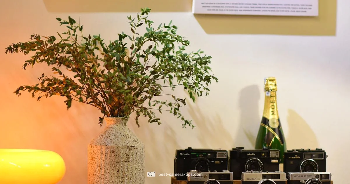 Ring Camera Status - Best Camera Tips