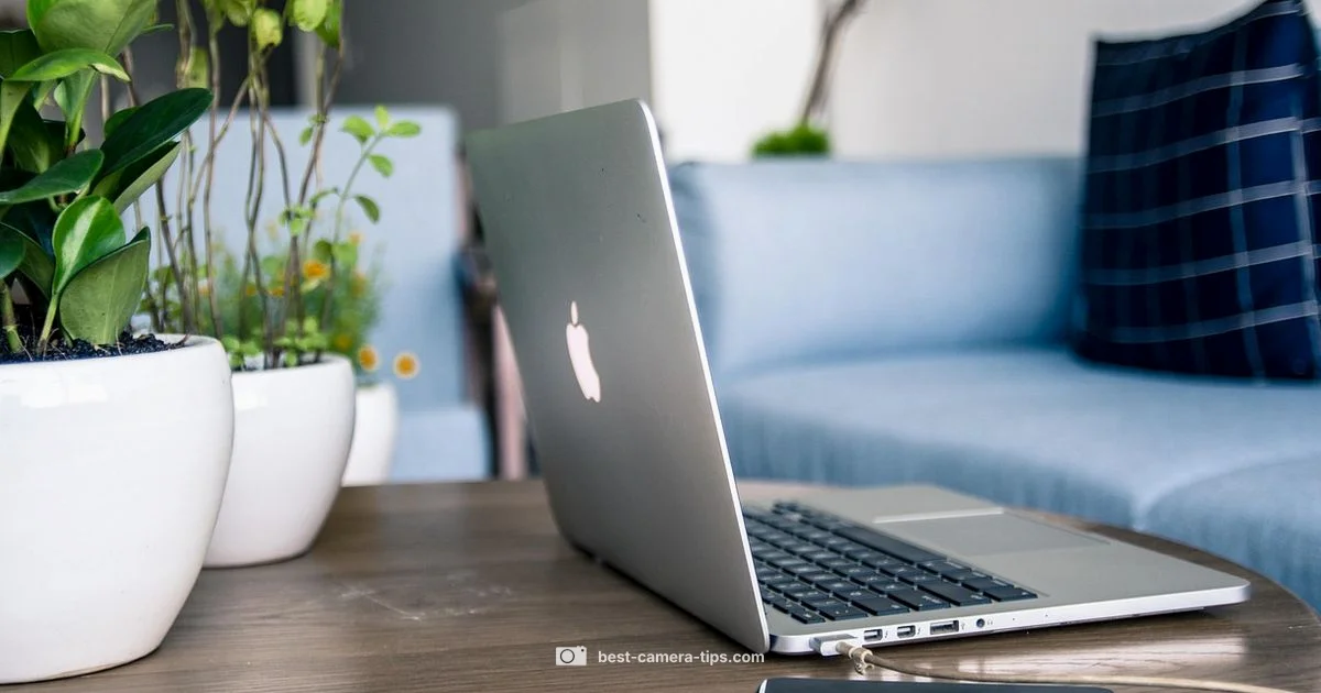 iPhone Lens Brand - Best Camera Tips