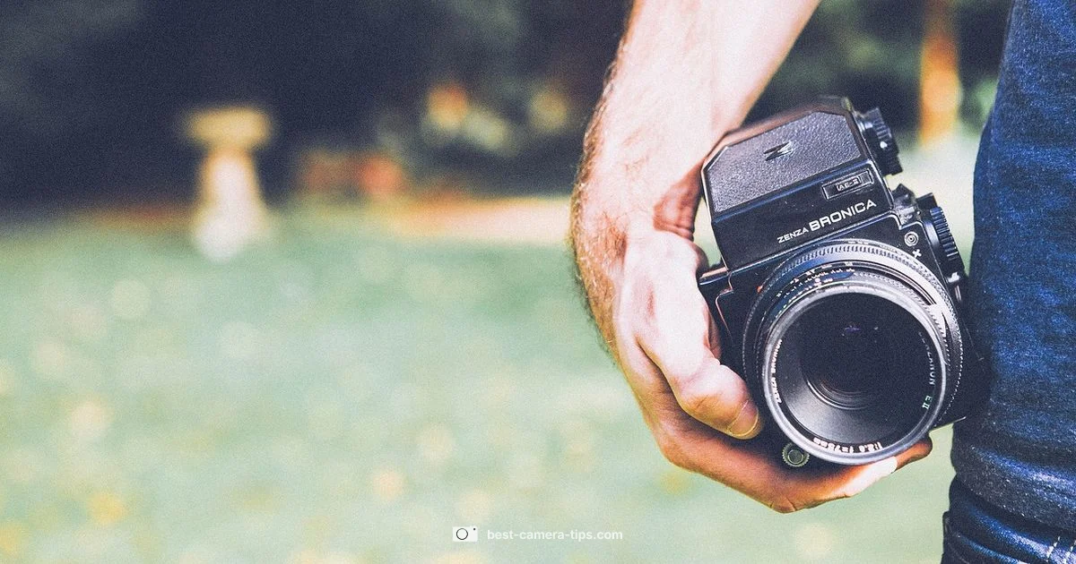 Camera Electronics Basics - Best Camera Tips