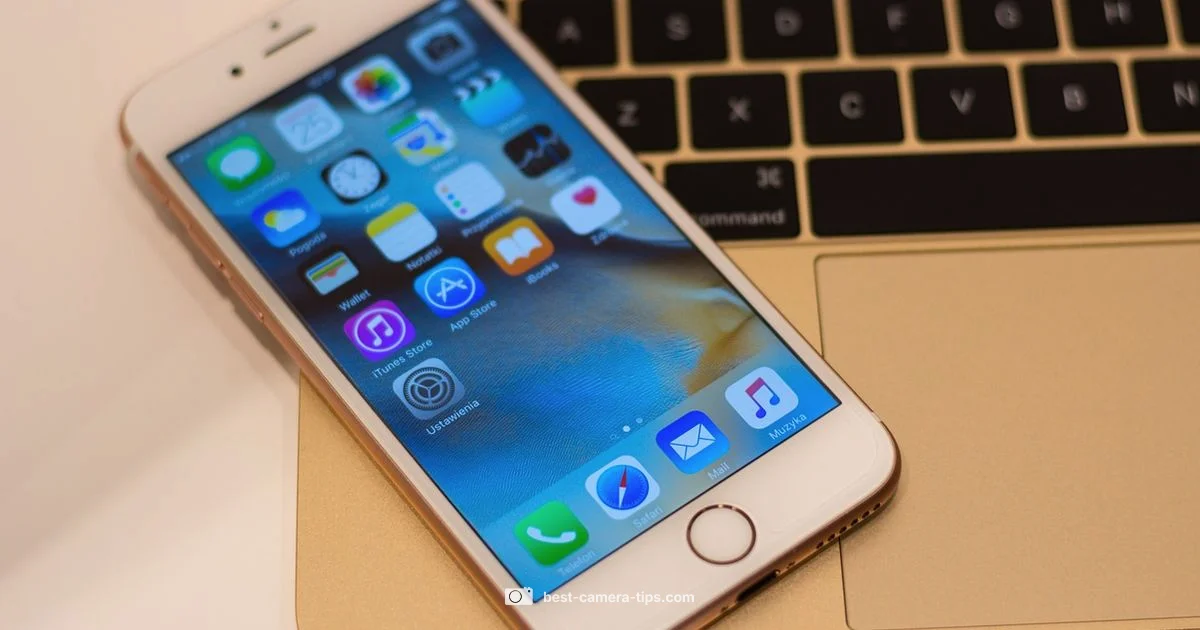 Camera Check Guide - Best Camera Tips