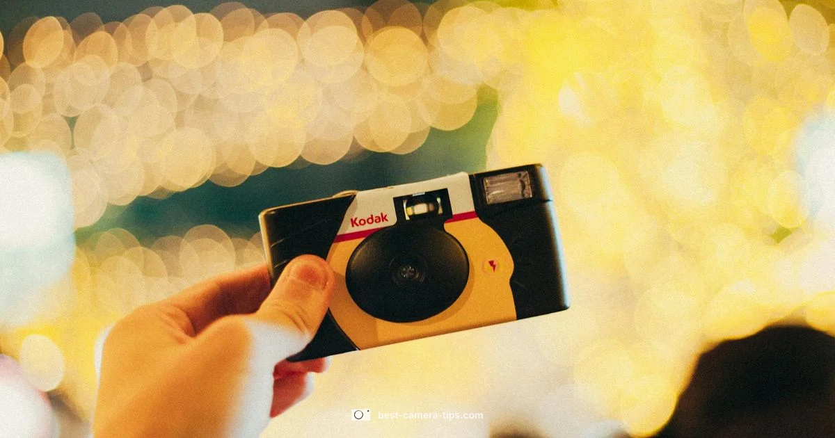 Disposable Camera Use - Best Camera Tips