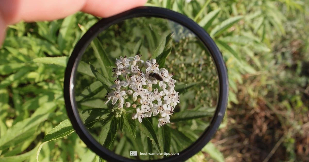 Camera Filters Guide - Best Camera Tips