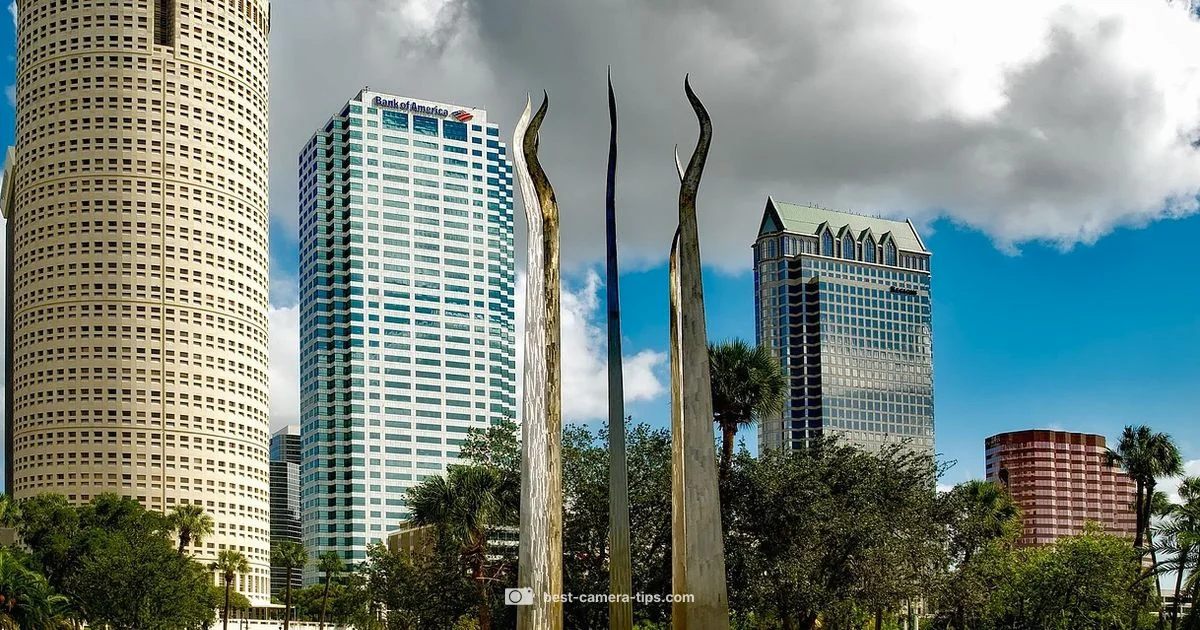 Tampa Live Feeds - Best Camera Tips