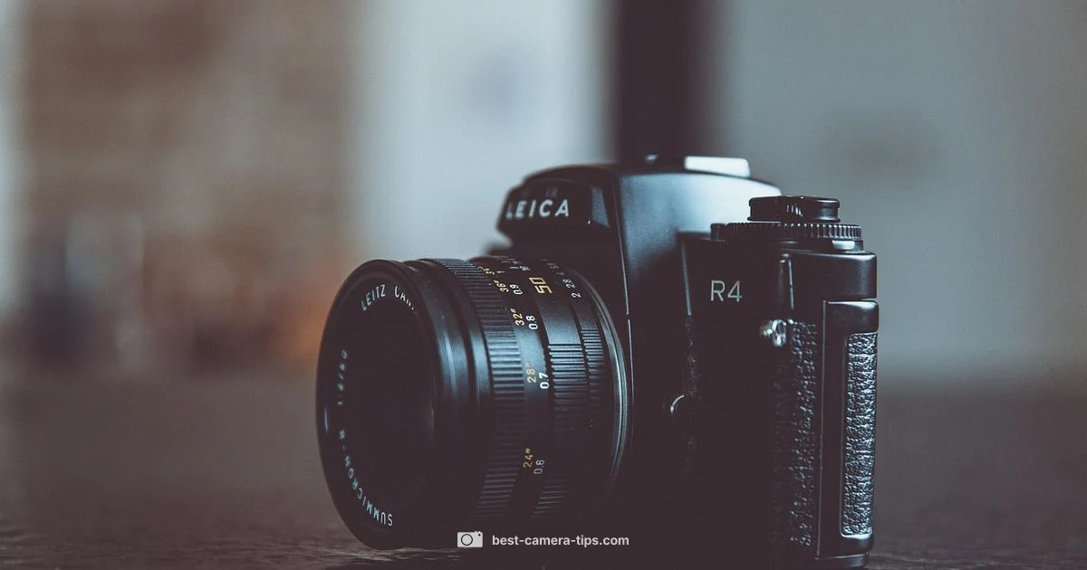 Nearby Film Shops Nearby Film Shops - Best Camera Tips