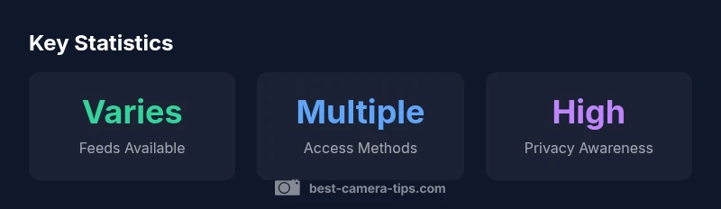 Overview of live camera feed statistics