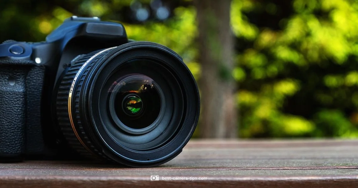 Lens Protector Guide - Best Camera Tips