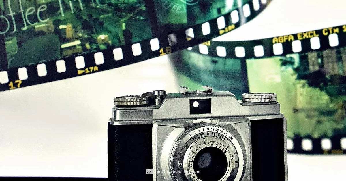 Camera Type Guide - Best Camera Tips