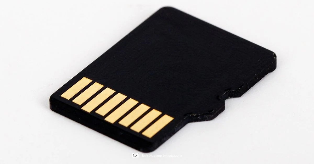 SD Card Essentials - Best Camera Tips