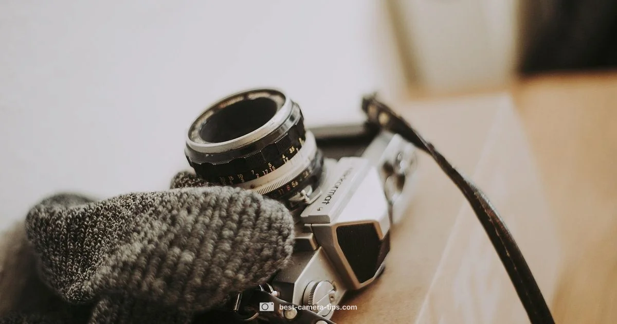 Camera Type Overview - Best Camera Tips