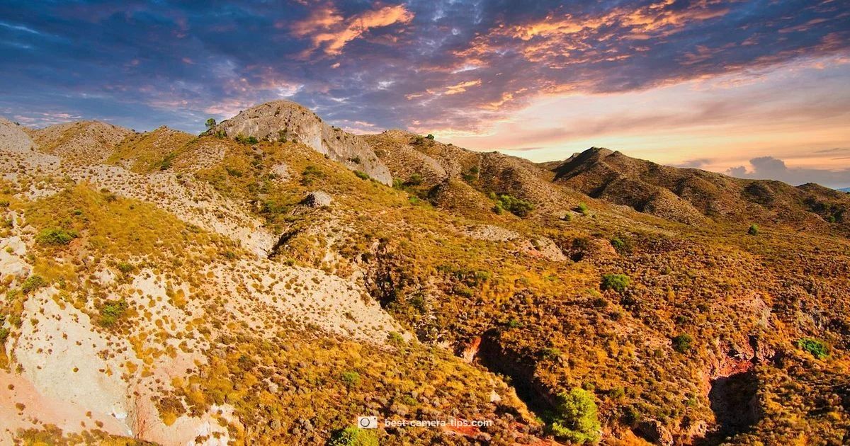 Drone Camera Guide - Best Camera Tips