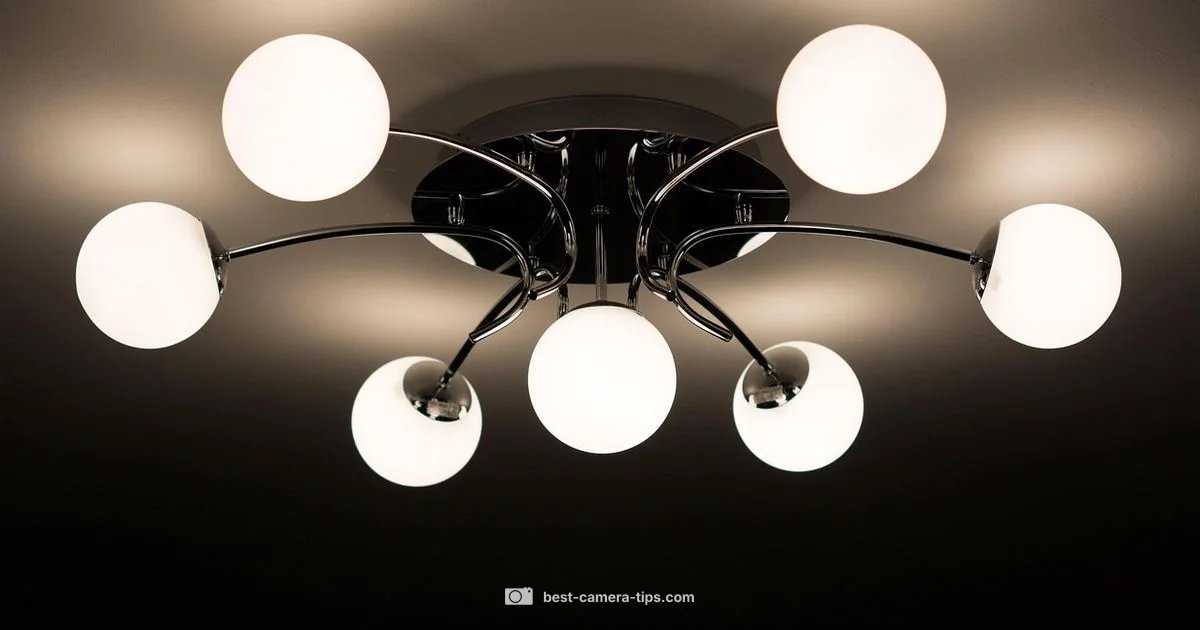 Bulb Camera Setup - Best Camera Tips