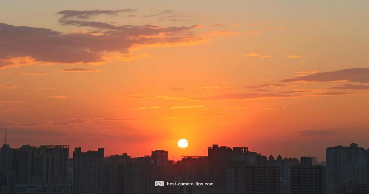 iPhone Camera Picks - Best Camera Tips