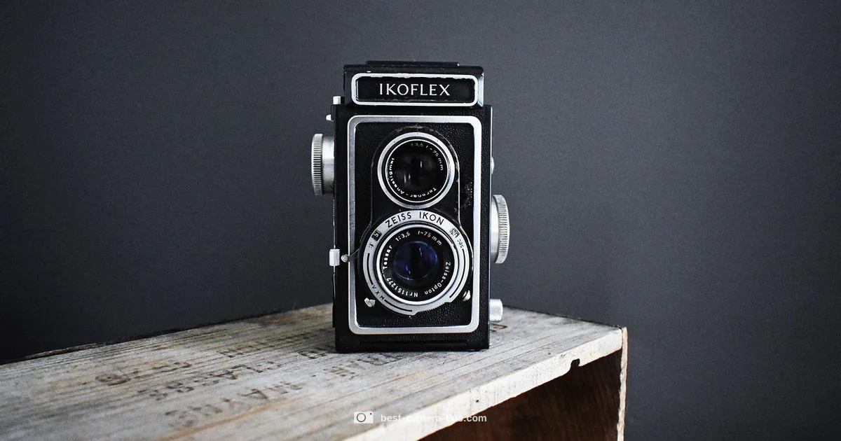 Analog Nostalgia - Best Camera Tips